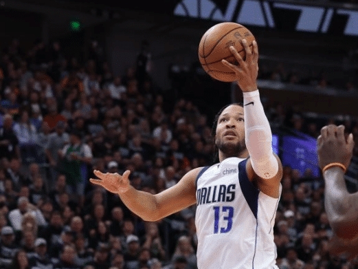 浪漫的生命 浪漫的生命