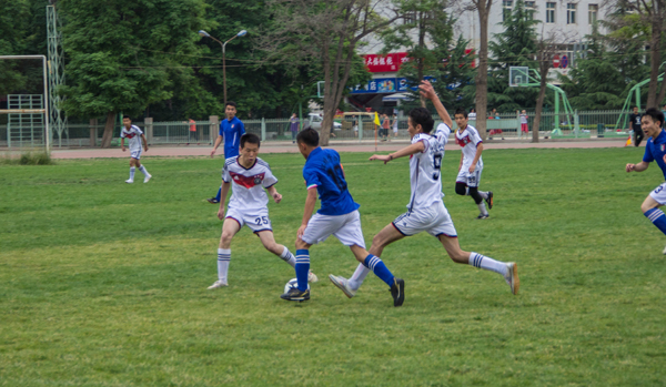 开局视野布 开局视野布