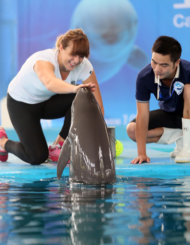 力耗散在社 力耗散在社